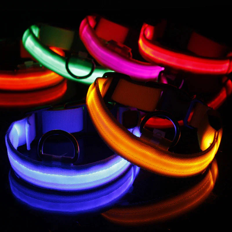Glowing Safety LED Dog Collar