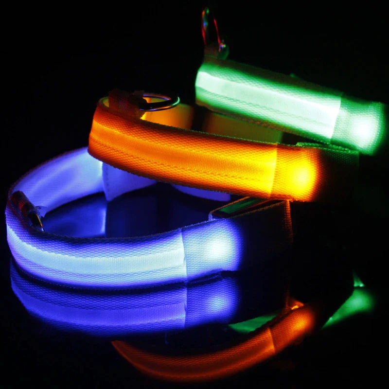 Glowing Safety LED Dog Collar