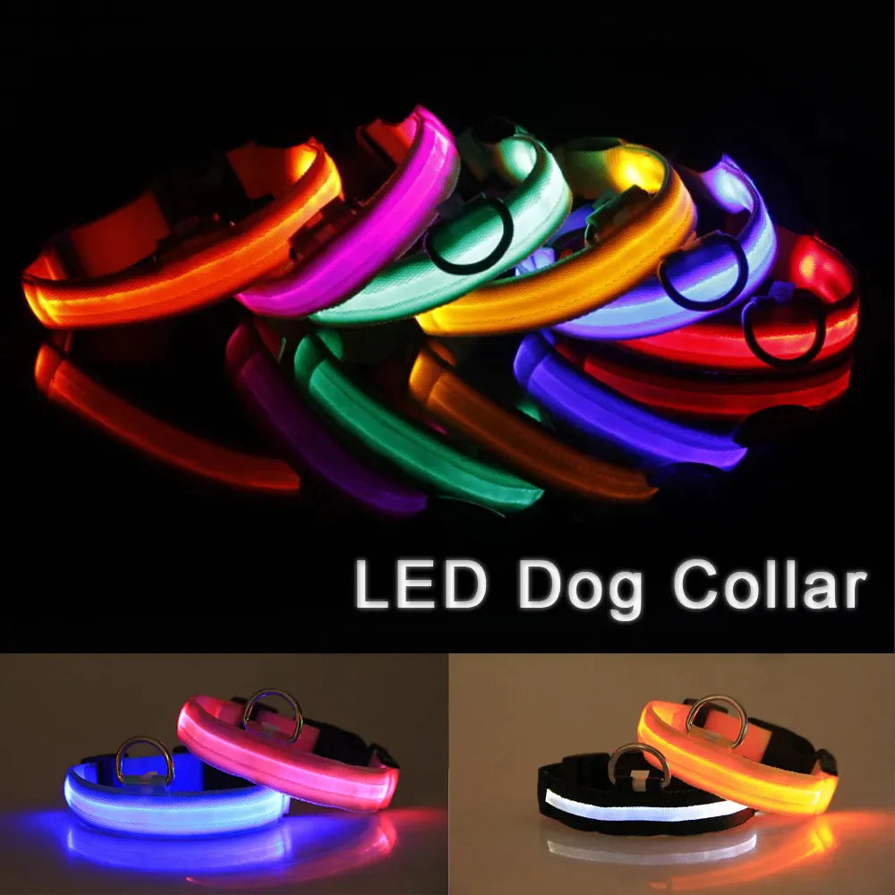 Glowing Safety LED Dog Collar