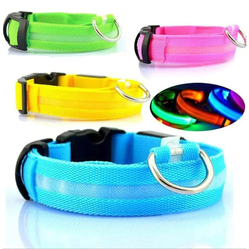Glowing Safety LED Dog Collar