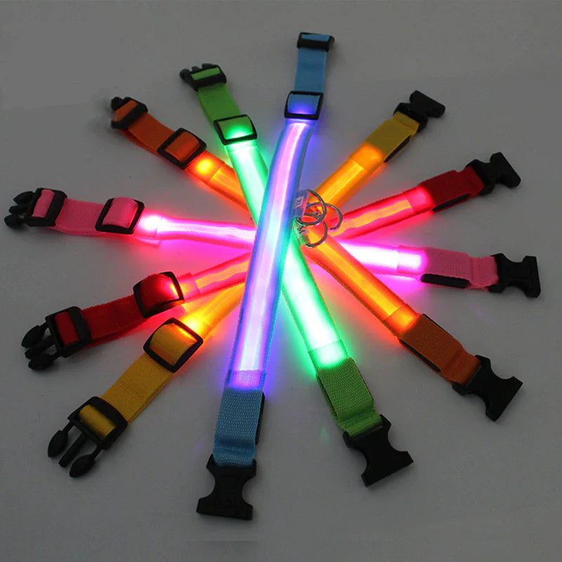 Glowing Safety LED Dog Collar