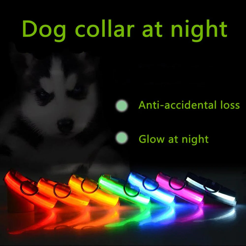 Glowing Safety LED Dog Collar