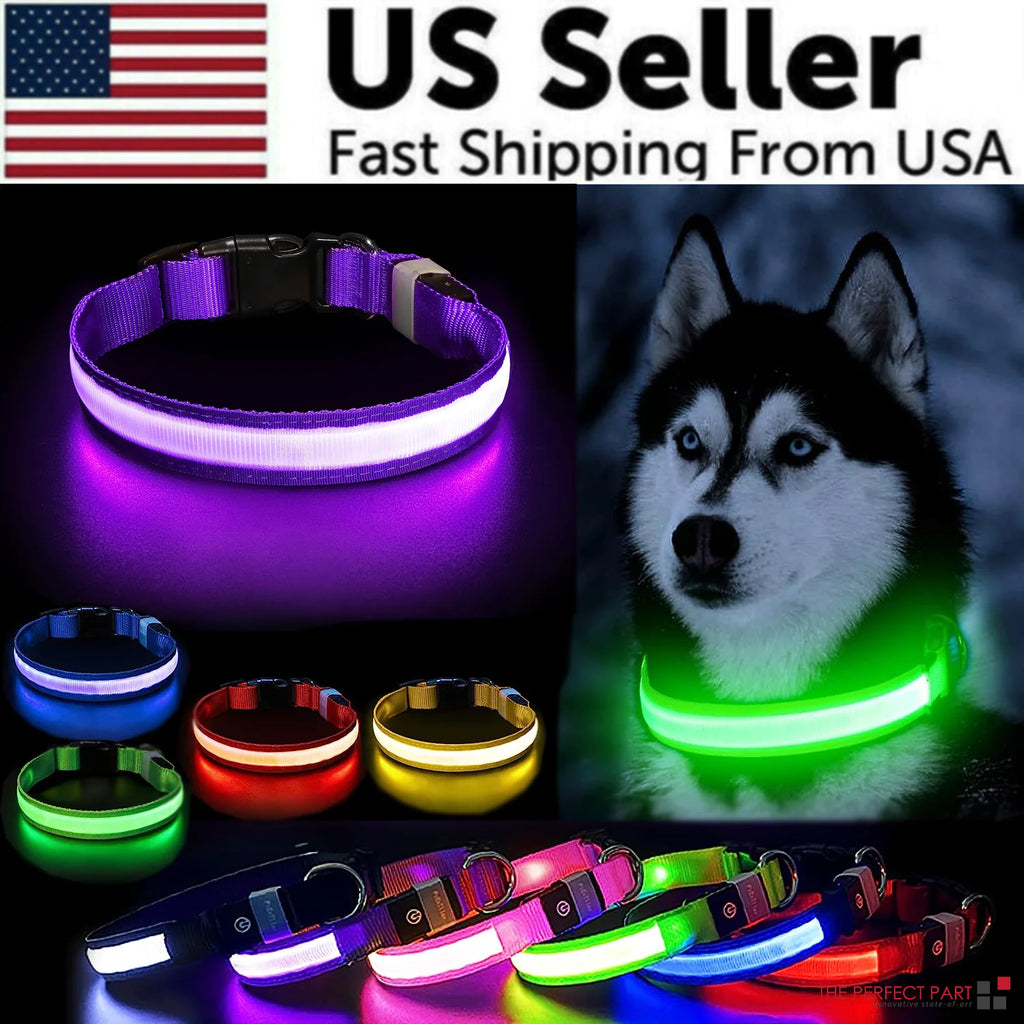 Glowing Safety LED Dog Collar