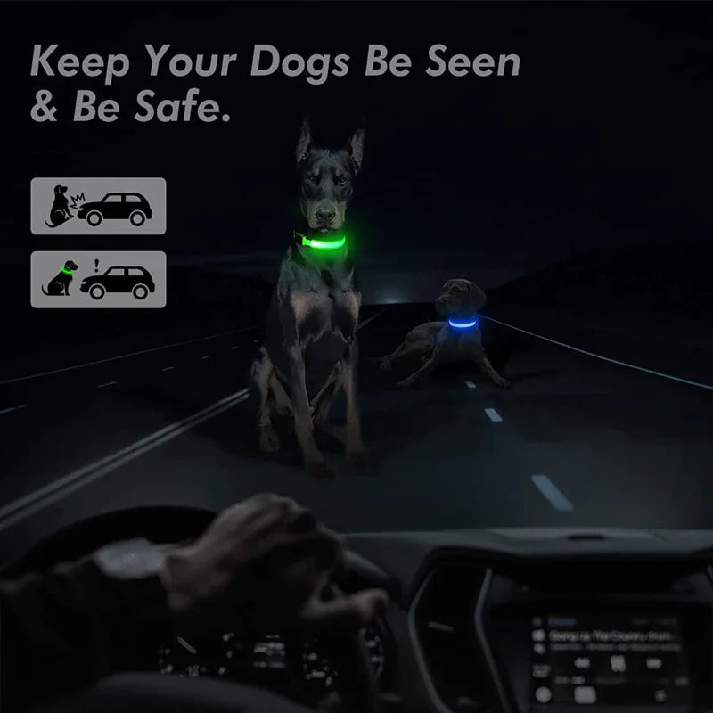 Glowing Safety LED Dog Collar