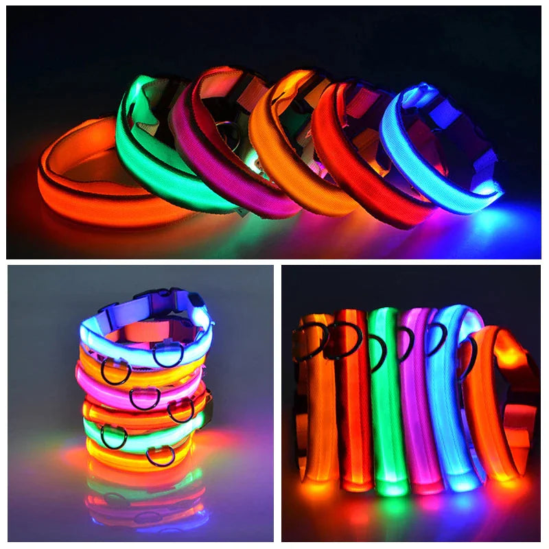 Glowing Safety LED Dog Collar