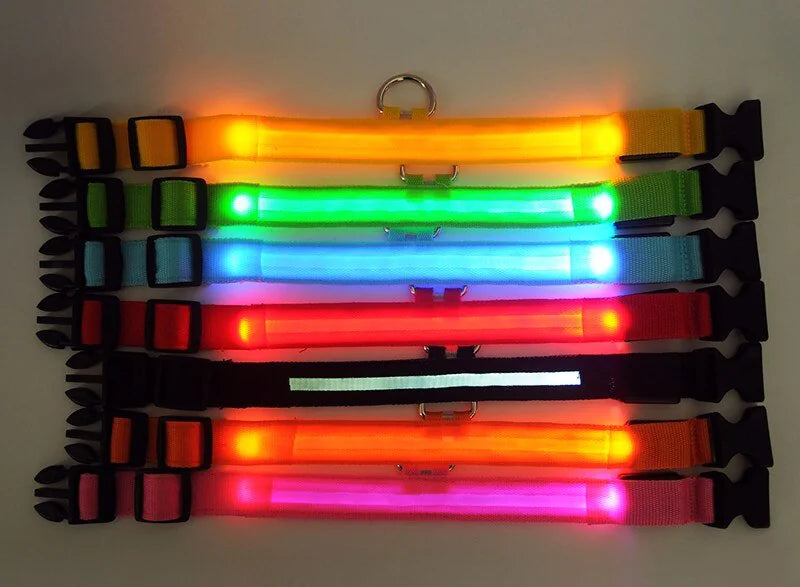 Glowing Safety LED Dog Collar