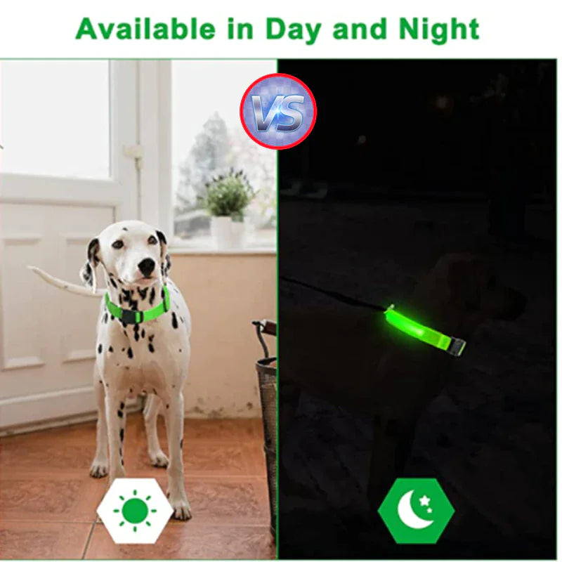 Glowing Safety LED Dog Collar