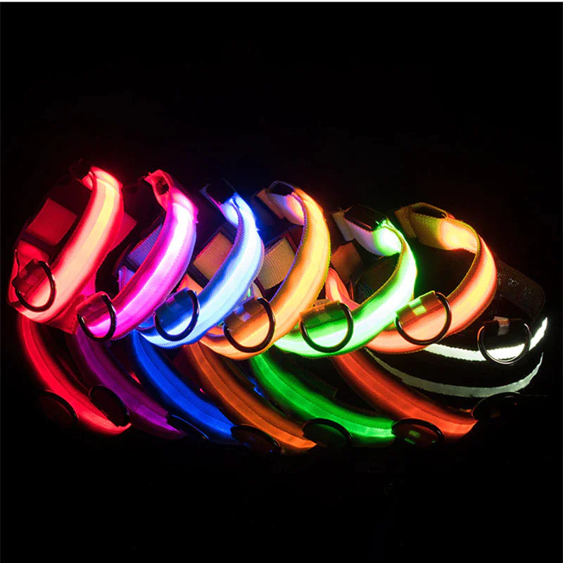 Glowing Safety LED Dog Collar