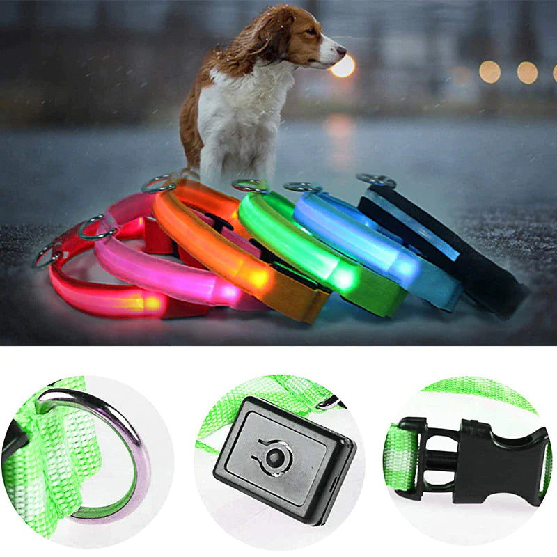 Glowing Safety LED Dog Collar