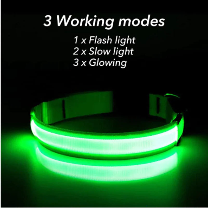 Glowing Safety LED Dog Collar