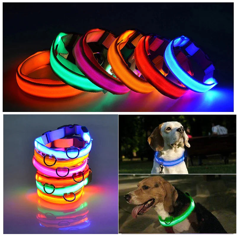 Glowing Safety LED Dog Collar