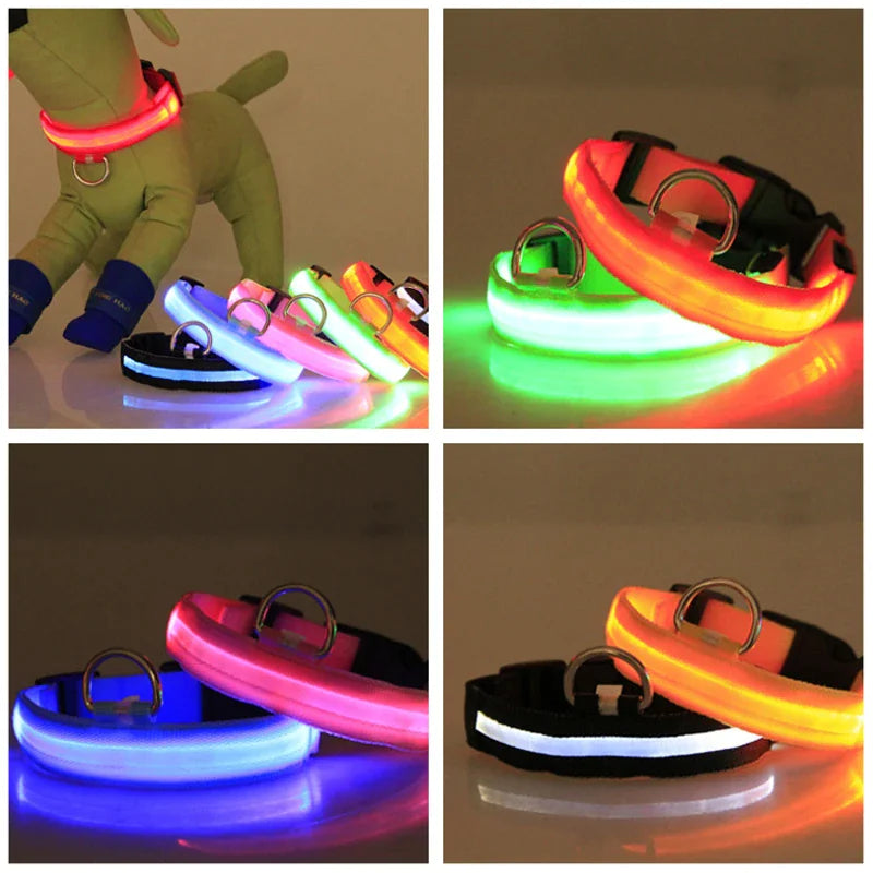 Glowing Safety LED Dog Collar