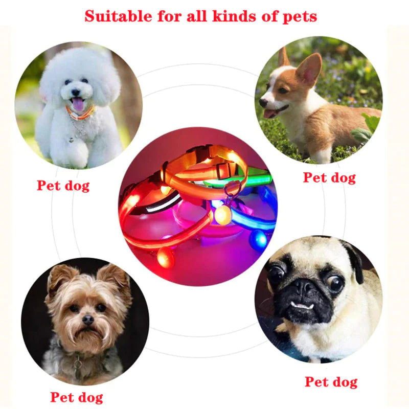 Glowing Safety LED Dog Collar