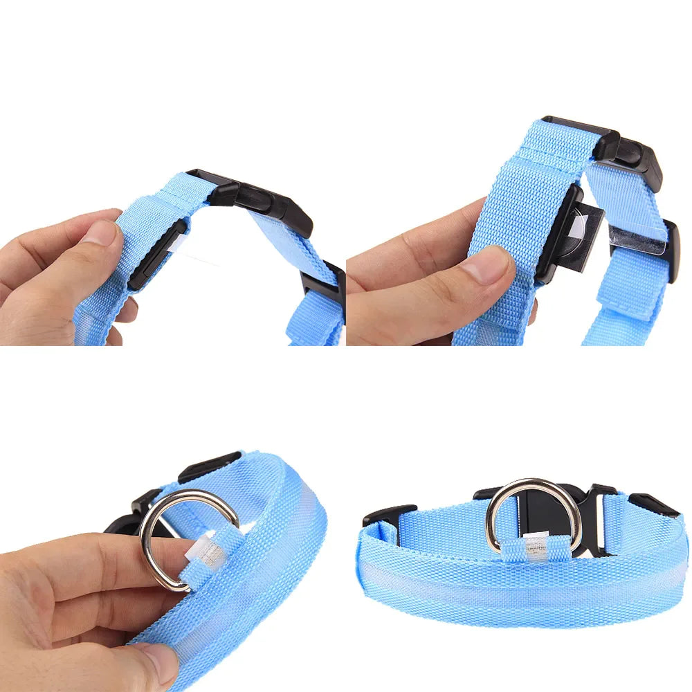 Glowing Safety LED Dog Collar