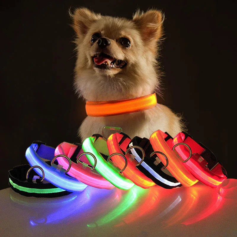 Glowing Safety LED Dog Collar