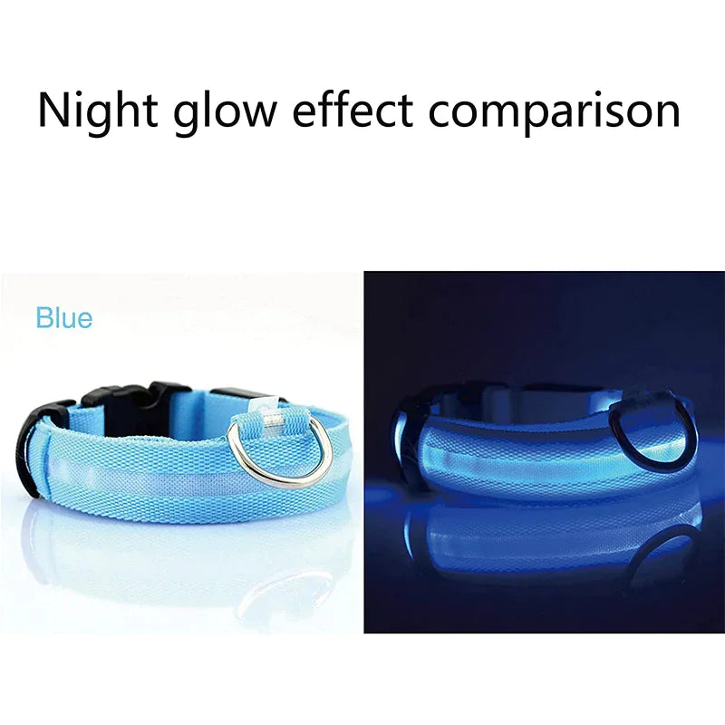 Glowing Safety LED Dog Collar